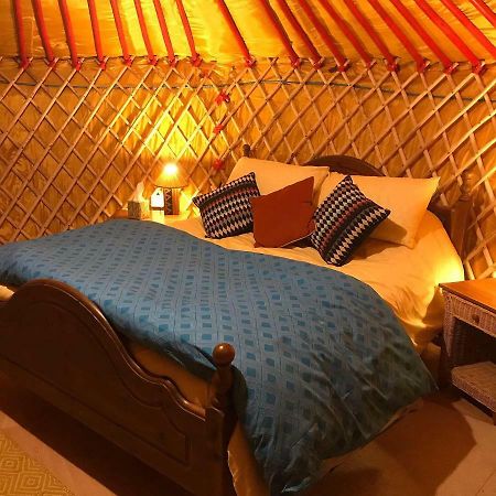 Mcclure Yurt At Carrigeen Glamping Килкени Екстериор снимка