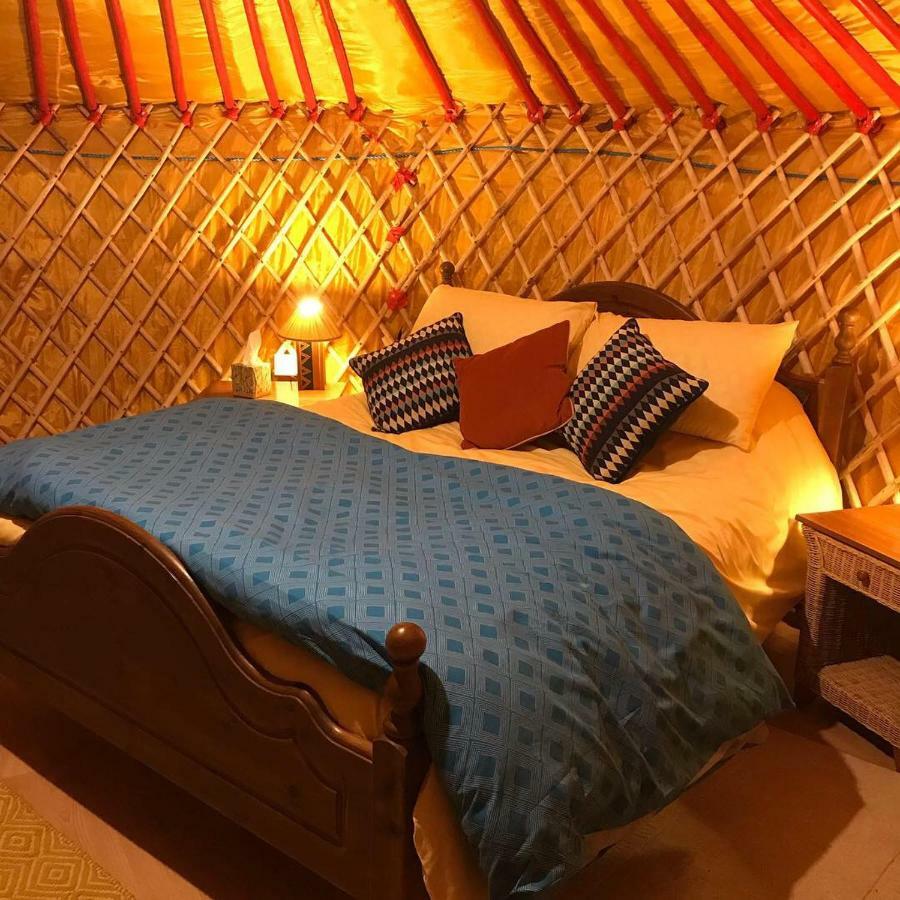 Mcclure Yurt At Carrigeen Glamping Килкени Екстериор снимка
